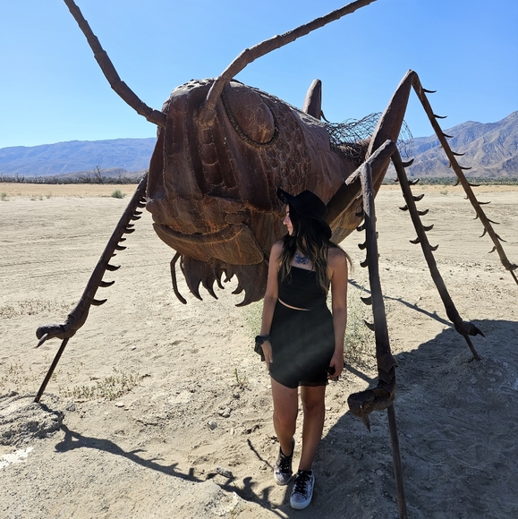 Meet your Posher, Alexis - Picture 4 of 6